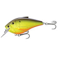 Threadfin Shad CB,SD,chartreuse/Blk#1 - GhillieSuitShop